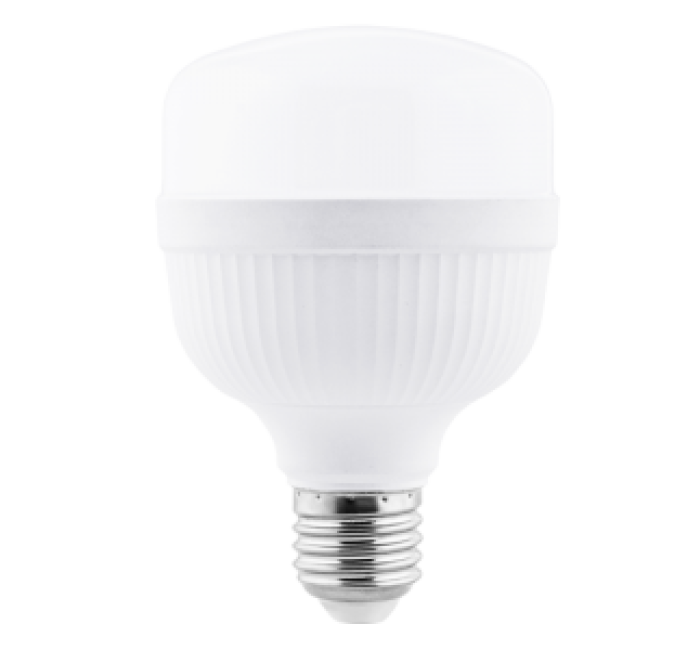 Vision Series LED T Bulb